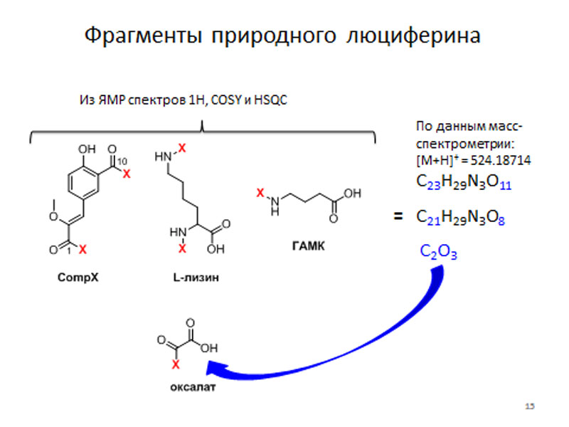 Люциферин